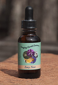 EASY_Macro_reduced_200_7196